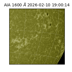 saia - 2026-02-10T19:00:14.130000