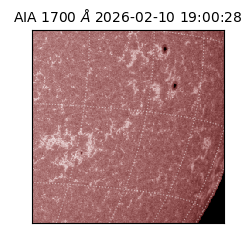 saia - 2026-02-10T19:00:28.717000