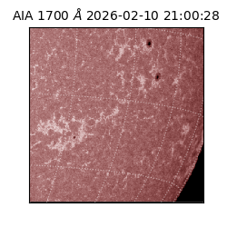 saia - 2026-02-10T21:00:28.717000