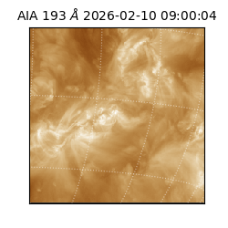 saia - 2026-02-10T09:00:04.846000