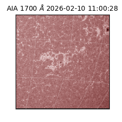 saia - 2026-02-10T11:00:28.718000