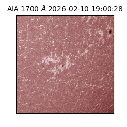 saia - 2026-02-10T19:00:28.717000