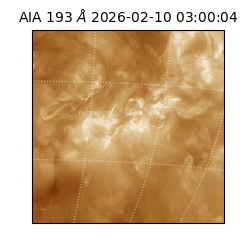 saia - 2026-02-10T03:00:04.843000