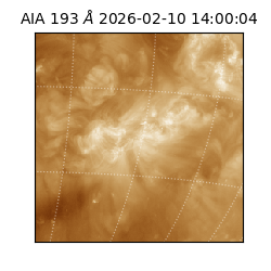 saia - 2026-02-10T14:00:04.843000