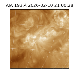 saia - 2026-02-10T21:00:28.843000