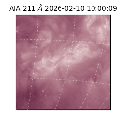 saia - 2026-02-10T10:00:09.622000
