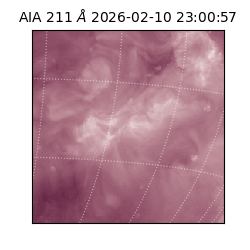 saia - 2026-02-10T23:00:57.631000
