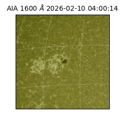 saia - 2026-02-10T04:00:14.125000