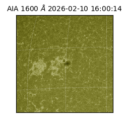 saia - 2026-02-10T16:00:14.126000