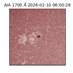 saia - 2026-02-10T06:00:28.718000