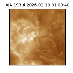 saia - 2026-02-10T01:00:40.843000
