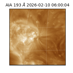 saia - 2026-02-10T06:00:04.835000