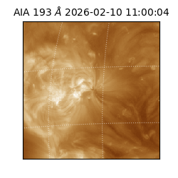 saia - 2026-02-10T11:00:04.844000