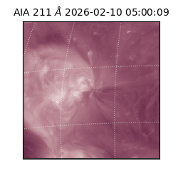 saia - 2026-02-10T05:00:09.626000