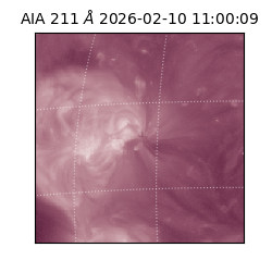 saia - 2026-02-10T11:00:09.626000