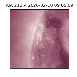 saia - 2026-02-10T09:00:09.626000