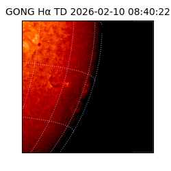 gong - 2026-02-10T08:40:22