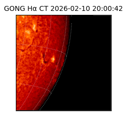 gong - 2026-02-10T20:00:42