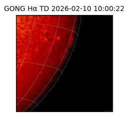 gong - 2026-02-10T10:00:22