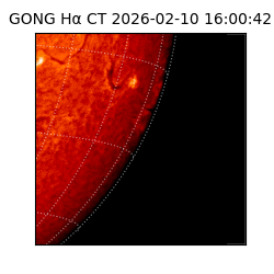 gong - 2026-02-10T16:00:42