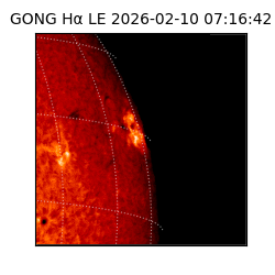 gong - 2026-02-10T07:16:42