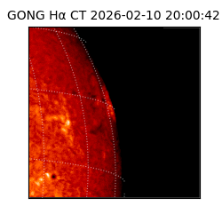 gong - 2026-02-10T20:00:42