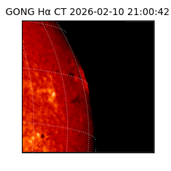 gong - 2026-02-10T21:00:42