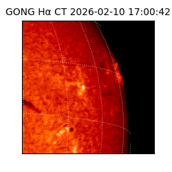 gong - 2026-02-10T17:00:42