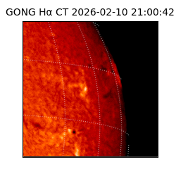 gong - 2026-02-10T21:00:42