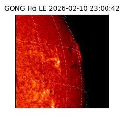 gong - 2026-02-10T23:00:42