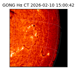 gong - 2026-02-10T15:00:42