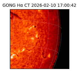 gong - 2026-02-10T17:00:42