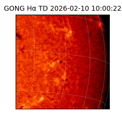 gong - 2026-02-10T10:00:22