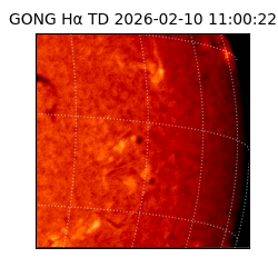 gong - 2026-02-10T11:00:22