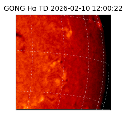 gong - 2026-02-10T12:00:22