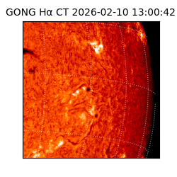 gong - 2026-02-10T13:00:42