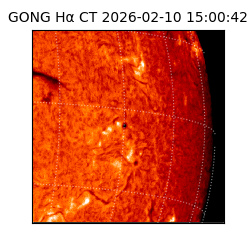 gong - 2026-02-10T15:00:42