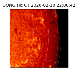 gong - 2026-02-10T22:00:42