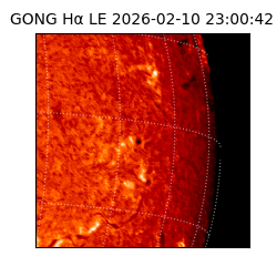 gong - 2026-02-10T23:00:42