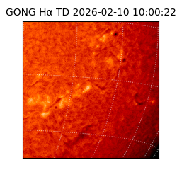 gong - 2026-02-10T10:00:22
