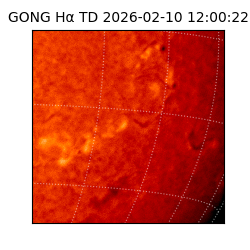 gong - 2026-02-10T12:00:22