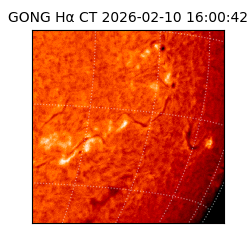 gong - 2026-02-10T16:00:42
