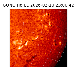 gong - 2026-02-10T23:00:42