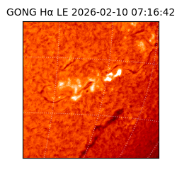 gong - 2026-02-10T07:16:42
