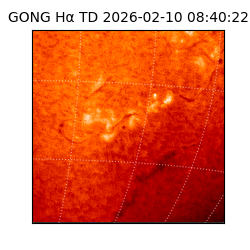 gong - 2026-02-10T08:40:22