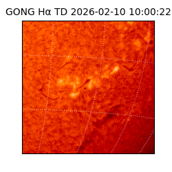 gong - 2026-02-10T10:00:22
