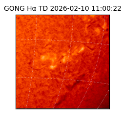 gong - 2026-02-10T11:00:22