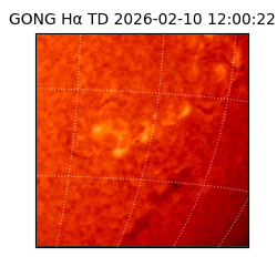 gong - 2026-02-10T12:00:22