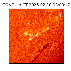 gong - 2026-02-10T13:00:42
