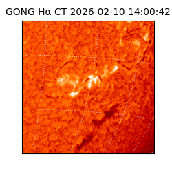 gong - 2026-02-10T14:00:42